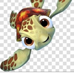 Meet your Posher, Becky